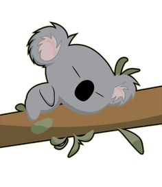 a koala bear sitting on top of a tree branch