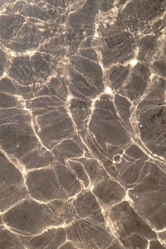 the water is reflecting sunlight on it's surface, and there are small ripples