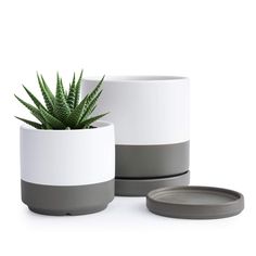 PRICES MAY VARY. Small Set of 2 Plant Pots Dimensions: 4.6" Diameter (4.2" Inner Diameter) * 4.5" Height; 6" Diameter (5.4" Inner Diameter) * 6" Height. Potting Soil Needed: 4-inch 0.8 qt; 6-inch 2 qt. Elegant Minimalist Design: Simple, elegant, and modern round design plants pot, add a decorative touch to any room. Material: Strong glazed ceramic with high temperature fired pot for plants. Drainage holes and detachable/perfectly fitting ceramic saucers included. Included Accessories: Stainless Small Plant Pots, Pots Set, Fire Pots, Pots For Plants, Ceramic Planter Pots, Modern Round, Round Design