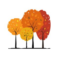 four trees with different colored leaves on them