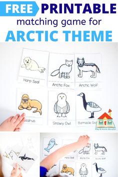 the arctic animals printable matching game for kids to learn how to read and draw