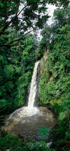 a large waterfall in the middle of a forest