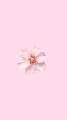 a pink flower is floating in the air on a pink background with space for text