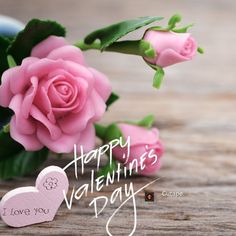 two pink roses are sitting next to each other on a table with the words happy valentine's day