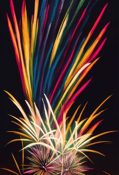 colorful fireworks are lit up in the night sky with bright colors and long tail tails