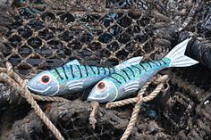 a fish that is laying on some rope