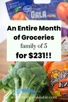 an entire month of groceries family of 5 for $ 23