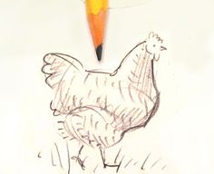 a drawing of a chicken and a pencil