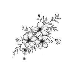 a black and white drawing of flowers