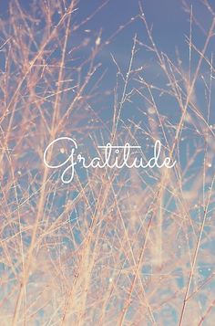 the word grateful written in white on top of some tall dry grass with blue sky behind it