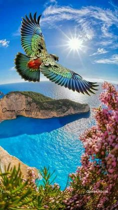 the bird is flying over the blue water and mountains in the background with pink flowers