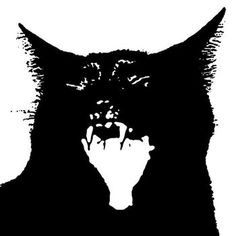 a black cat with its mouth open and it's paw in front of the face