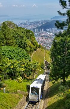 a white train traveling down tracks next to lush green hillside