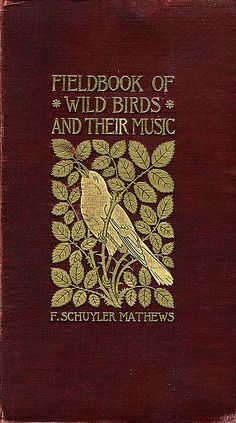 the field book of wild birds and their music