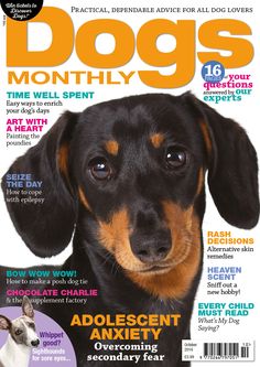 a magazine cover with a black and brown dog on it's front cover is shown