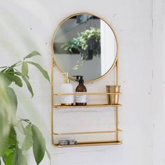 a bathroom with a round mirror and shelves on the wall next to a potted plant