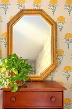 a mirror on top of a dresser next to a potted plant and wall paper