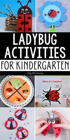 ladybug activities for kids to make