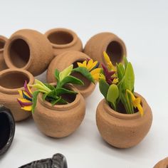 several clay pots with plants in them on a table