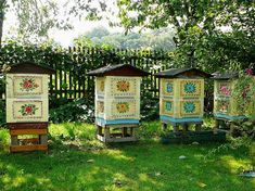 four beehives are lined up in the grass