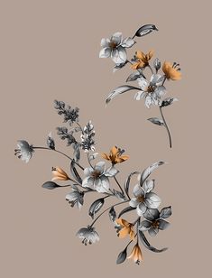 an image of flowers that are in the air on a gray background with white and yellow colors