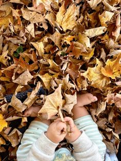 a baby laying on top of leaves in the middle of it's head and hands