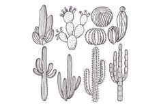 a line drawing of cactuses and cacti