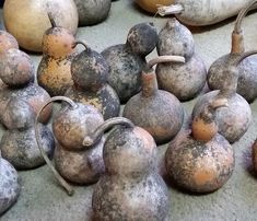 several different types of gourds sitting on the ground