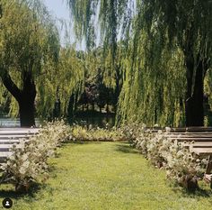 rows of wooden benches sitting next to each other on top of a lush green field