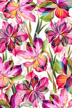 colorful flowers on a white background with lots of green and pink leaves in the center