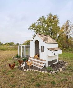 chickens are outside in the grass near a chicken coop with steps leading up to it