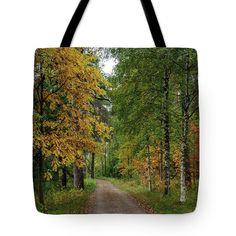 Autumn season forest landscape Tote Bag by Michalakis Ppalis. The tote bag is machine washable, available in three different sizes, and includes a black strap for easy carrying on your shoulder. All totes are available for worldwide shipping and include a money-back guarantee. All The Small Things, Photo Competition, Colorful Bags, Colorful Trees, Forest Landscape, Autumn Season