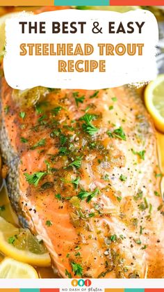 Steelhead Trout Recipe