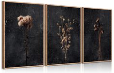 PRICES MAY VARY. Moody Dark Floral Wall Art : This floral wall art, showcasing three wilted Floral Print set against a dark backdrop, exudes a simplicity that's both elegant and substantial. Its understated design makes it a versatile piece for home decor or as a thoughtful and stylish gift for a friend Minimalist Black Wildflower Wall Decor Pictures : Elevate your space with this minimalist wildflower wall decor with its dark elements set against elegant hues. Whether you're looking to adorn a Uttermost Wall Art, Wildflower Decor, Wildflower Wall, Moody Decor, Flower Canvas Wall Art, Salon Suites, Floral Wall Art Canvases, Botanical Decor, Framed Botanicals