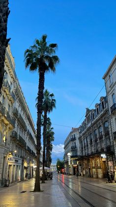 palm trees line the street in an old european city at dusk, with buildings and shops on either side