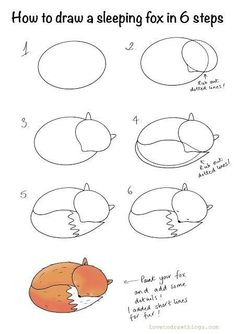 how to draw a sleeping fox in 6 steps step by step drawing instructions for kids