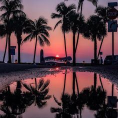 the sun is setting behind palm trees and a small plane parked in front of it