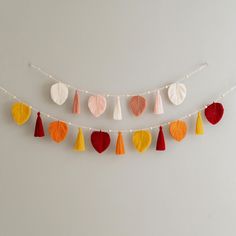 some tassels are hanging from a string on a white wall with other tassels