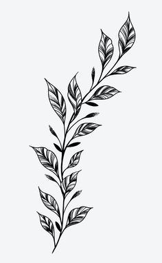 a black and white drawing of a branch with leaves