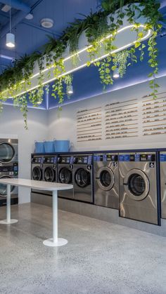 a washer and dryer in a laundry room with plants hanging from the ceiling