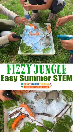 Jungle Animals Preschool, Animal Science Activities, Jungle Theme Activities, Rainforest Preschool, Safari Science, Rainforest Crafts, Summer Science Activities, Jungle Activities