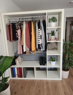 an organized closet with clothes hanging on shelves and potted plants in the corner next to it