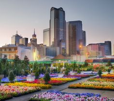 the city skyline is lit up with colorful flowers