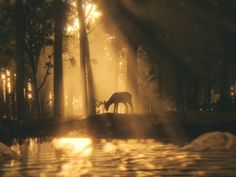 a deer standing in the middle of a forest at night with light streaming through it