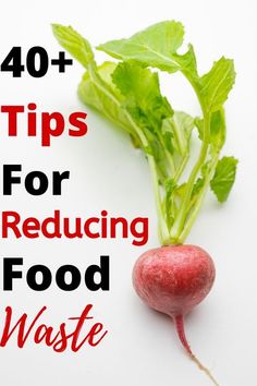 a radish with the words 40 + tips for reduce food waste on it