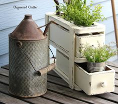 an old tin can is used as a planter for herb plants and other herbs