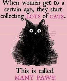 a pink card with a black cat saying, when women get to a certain age, they start collecting lots of cats