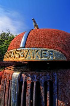 an old rusted truck with a bird sitting on the front grill and nameplate