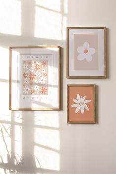 three framed pictures hang on the wall next to each other, one with a flower