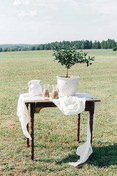 a table with a potted plant on it in the middle of a grassy field